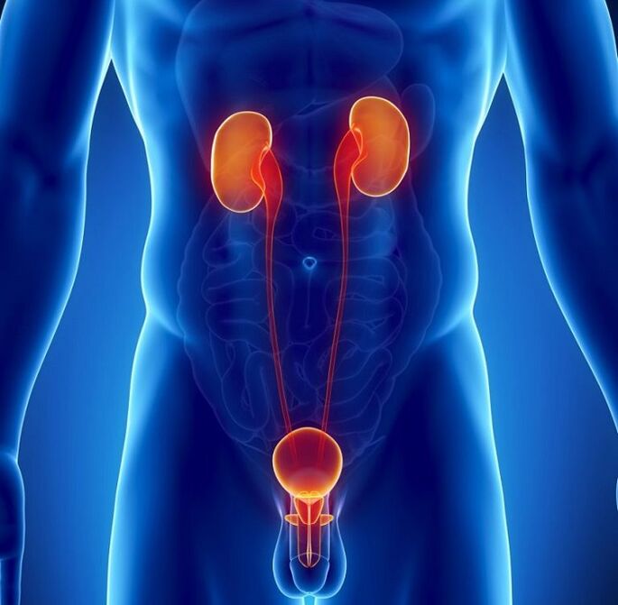 kokios lėtinės ligos gali turėti įtakos vyrų potencijai